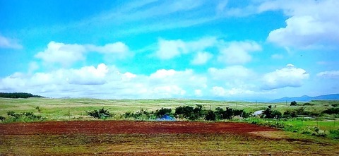 IMG_20200724_123540