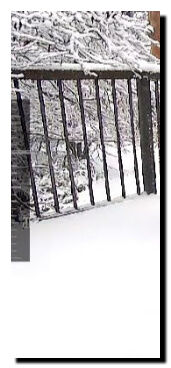 Screenshot_20220401-072258~2a