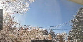Screenshot_20220107-093719~2_copy_288x148