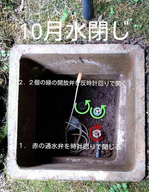 1628121572069