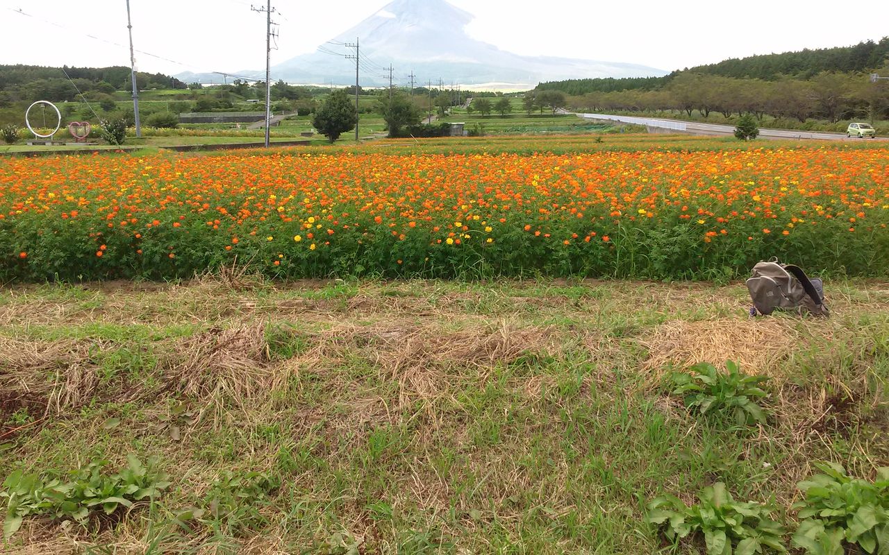 ふじすそのパノラマロード 大学教授の愛する 13世界遺産 富士山 十里木高原ライフ