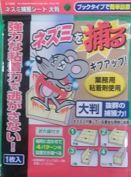 ねずみ退治 大学教授の愛する 13世界遺産 富士山 十里木高原ライフ ねずみ退治 大学教授の愛する 13世界遺産 富士山 十里木高原ライフ