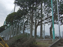 201002232213028610.gif