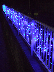 2009120422073120151.gif