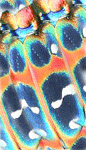 qwcty5uf.gif