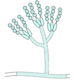 200905181744548443.gif