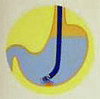 mqhnascf.gif