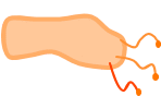 2010070317003810863.gif