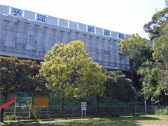 2009041511063725244.gif