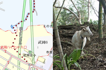 2010041822514326948.gif