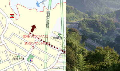 2010050911045511736.gif