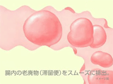 photo-6.gif