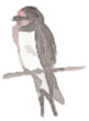 w_s2cjgc.gif
