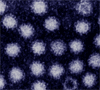 7vrzpx6x.gif