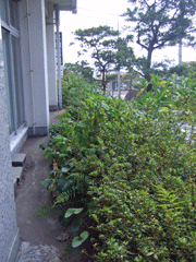 2009092714550726560.gif