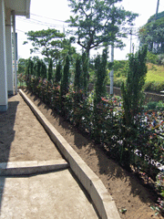 2009092714552624401.gif