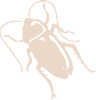 201103221152494989.gif
