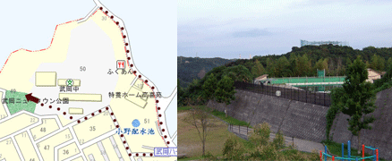 201010182220263492.gif
