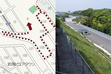 200906031602009447.gif