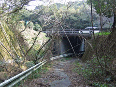 2010041822523227052.gif