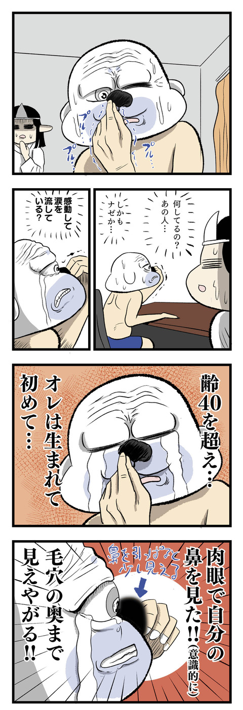 4コマエッセイ漫画_鼻を見る方法