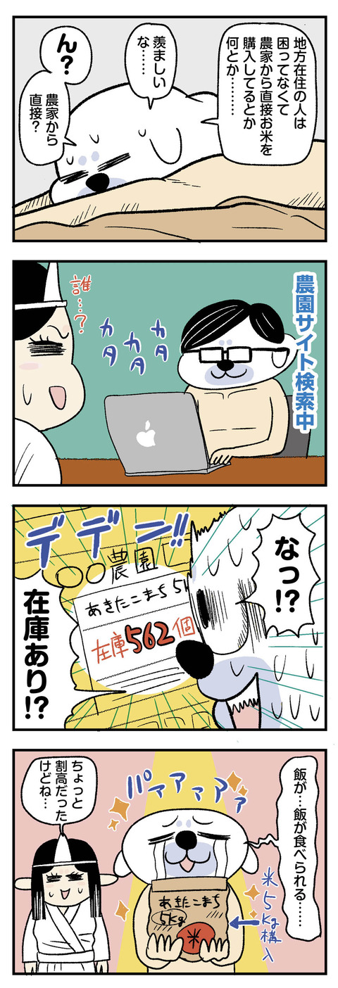 米不足でもやっとお米が買えた話_エッセイ漫画_02
