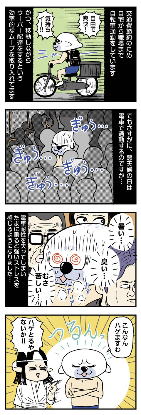 自転車通勤_電車通勤はストレスでハゲる_エッセイ漫画_4コマ漫画