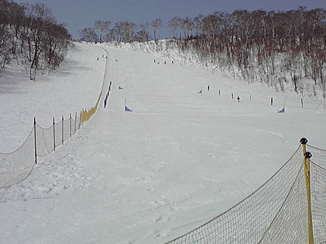 38b58499.jpg
