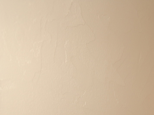 4518d01f.jpg