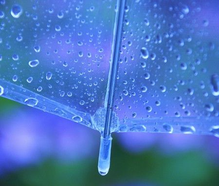 梅雨①