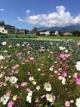 2014-09-16-10-48-40