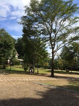 2014-09-16-13-42-36