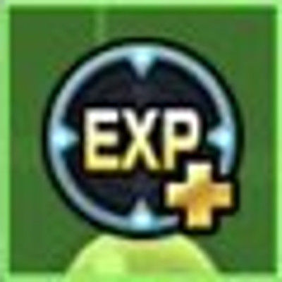 EXP20190702