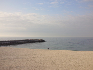 NEC_0338