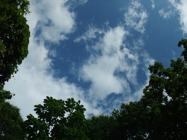 DSCF2810