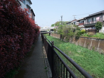 仙川