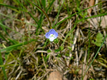 DSCF2245