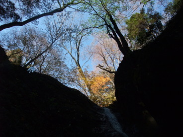 DSCF3225