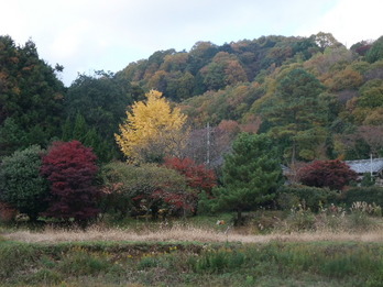 湯袋峠