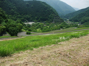 DSCF2231