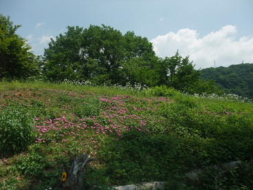 DSCF2253