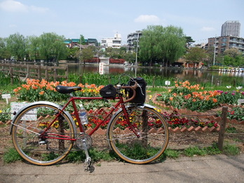 石神井公園