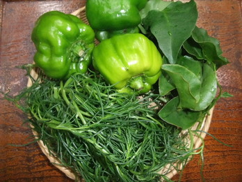 野菜