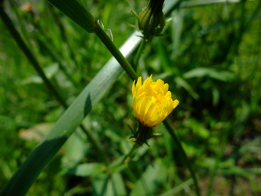 DSCF2248