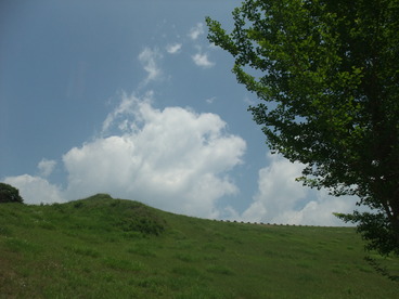 DSCF2240