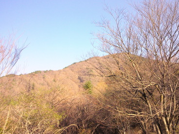 2011_04250030