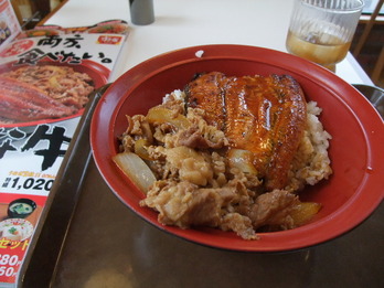 うな牛