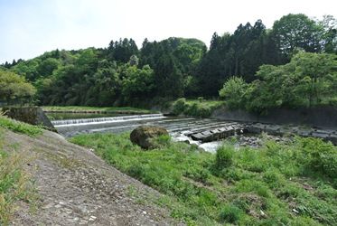 DSC_9177