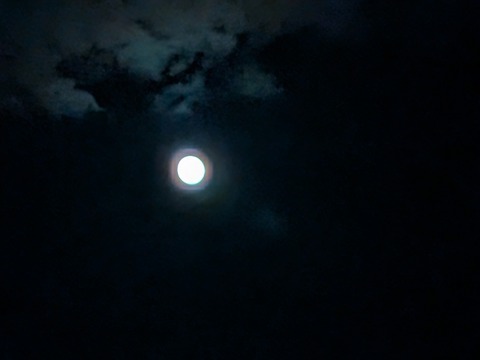NIGHT