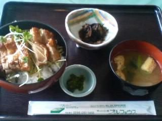鶏の照焼丼 レストラン オルフェウス 下諏訪 東京ちょいとデカ盛りlunchの日記 鶏の照焼丼 レストラン オルフェウス 下諏訪 東京ちょいとデカ盛りlunchの日記